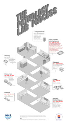 Pathology Process Wireframe V01